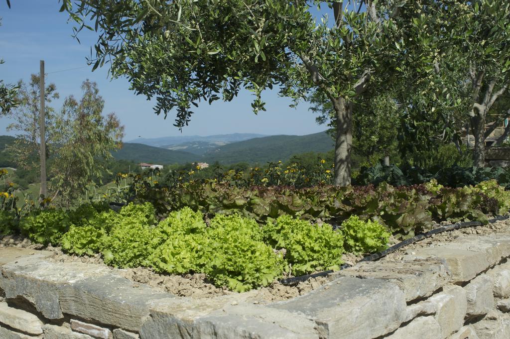 Villa Agriturismo Erta Casole dʼElsa Exterior foto