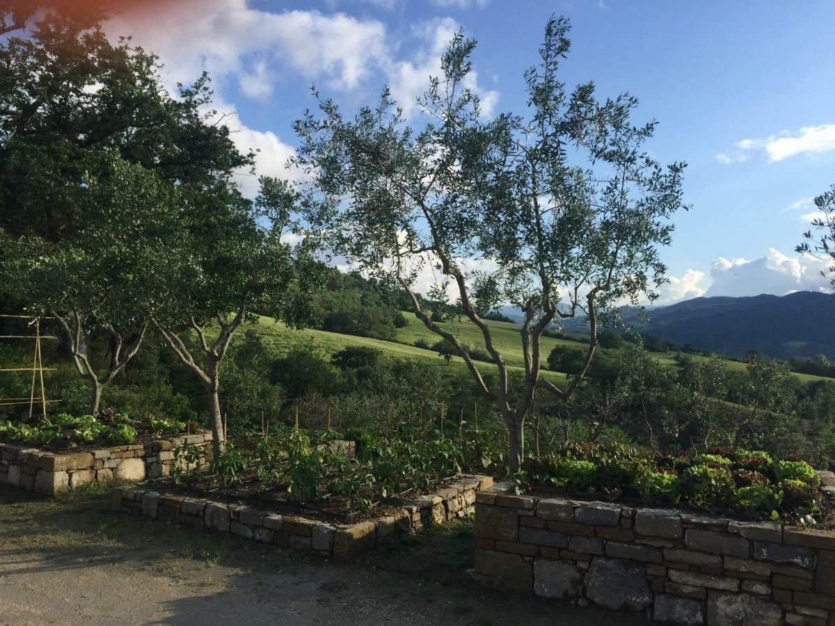 Villa Agriturismo Erta Casole dʼElsa Exterior foto